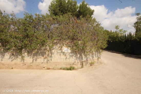 SUELO RÚSTICO EN VENTA (MASIA PAVIA TORRENT) - VALENCIA