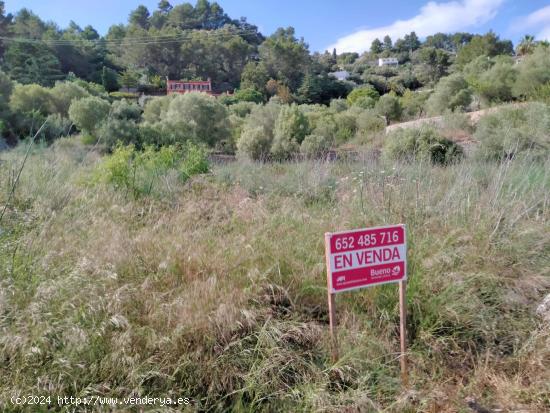  SOLAR EN VENTA EN GALILEA - BALEARES 