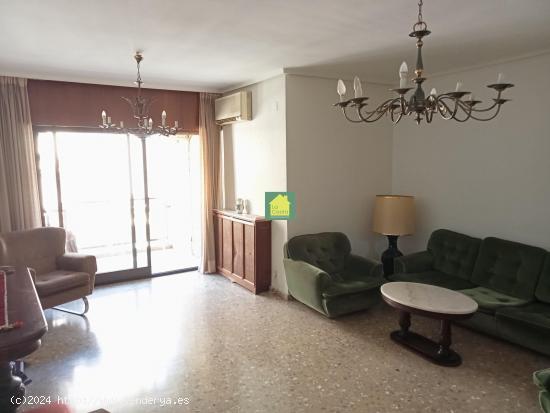 SE VENDE  MAGNIFICA PROPIEDAD EN PLENO CENTRO DE LA CIUDAD - ALBACETE