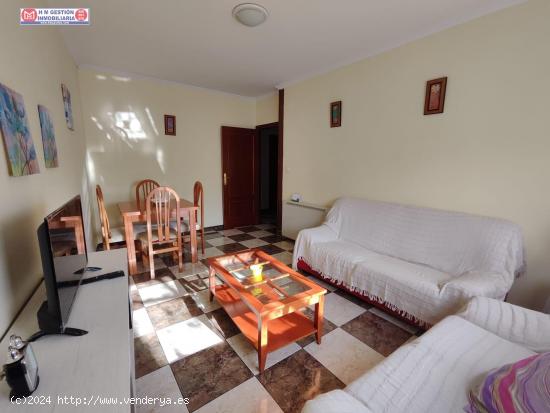 Ideal Inversión!!! casa con tres apartamentos independientes de 1 y 2 dormitorios - CIUDAD REAL