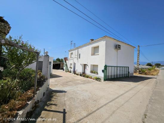  Finca de 6.000 M2, plana y vallada con casa unifamiliar y otros anexos de 262 M2 - TARRAGONA 