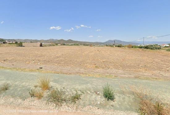 FINCA RÚSTICA CON ALMACÉN E INVERNADERO - MURCIA