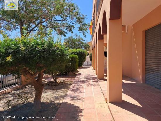 SE VENDE LOTE DE 4 ESTUDIOS EN EL ALAMILLO. MAZARRON. - MURCIA