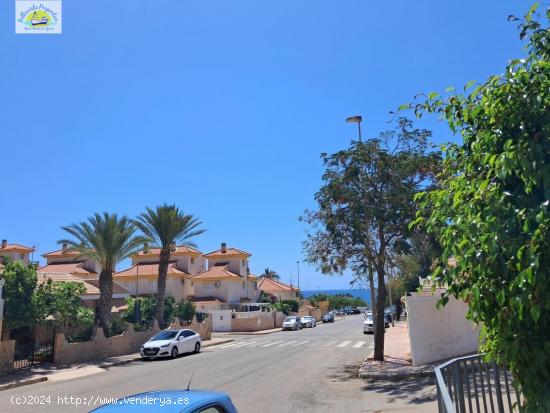 SE VENDE LOTE DE 4 ESTUDIOS EN EL ALAMILLO. MAZARRON. - MURCIA