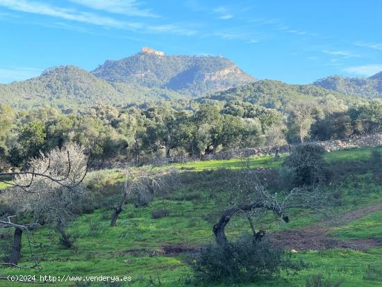 Terreno en Felanitx - BALEARES