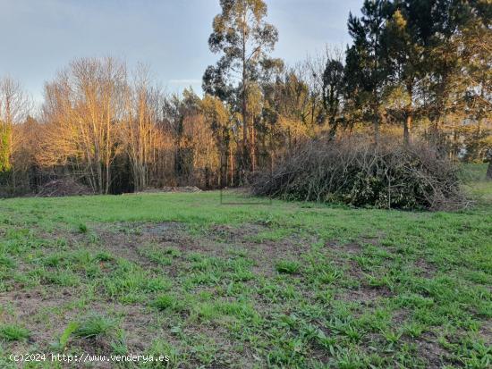 FINCA EDIFICABLE EN CAAMOUCO-ARES - A CORUÑA