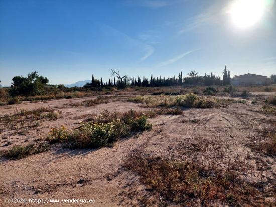 Se vende terreno de 13.000m2 en zona Squash - ALICANTE