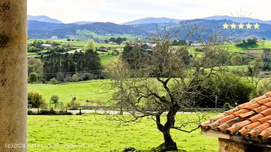 En este lugar VAS A PODER SER FELIZ y cumplir tus sueños. - CANTABRIA