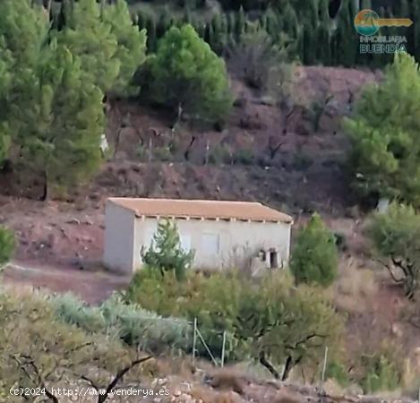 TERRENO CON CASITA EN CONSTRUCCION, EN LOS MOLEJONES DE TOTANA - MURCIA