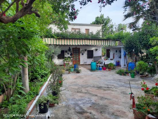  Casa de huerta, junto a la vía verde de Mula - MURCIA 