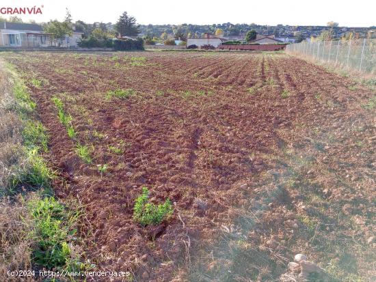 Finca rústica de regadío a la venta - LA RIOJA