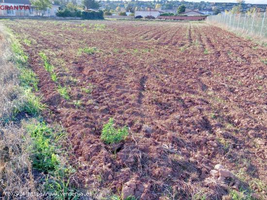 Finca rústica de regadío a la venta - LA RIOJA