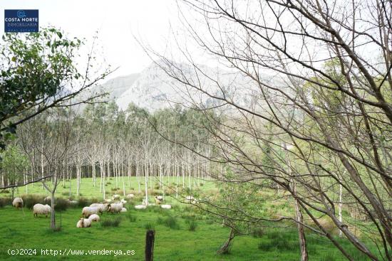 Se Vende en Arredondo - CANTABRIA