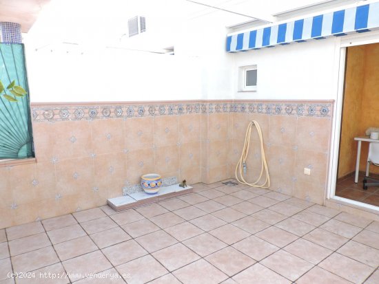 Apartamento en alquiler en Guardamar del Segura (Alicante)