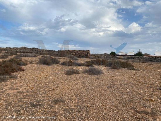  Terreno urbanizable en La Oliva 