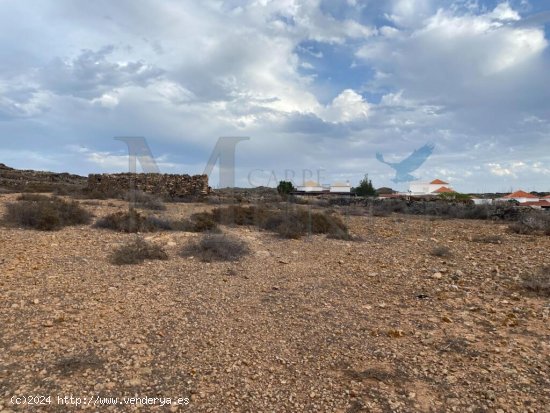 Terreno urbanizable en La Oliva