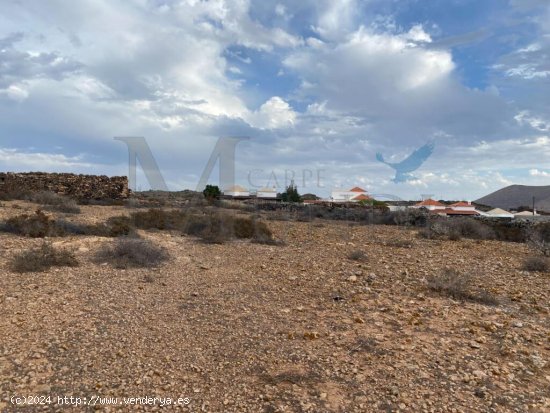 Terreno urbanizable en La Oliva