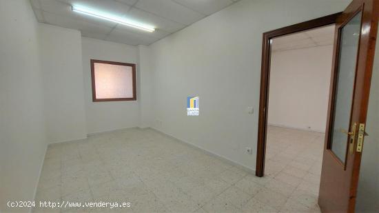 LOCAL COMERCIAL EN ALQUILER CON ASEO Y AMPLIO PATIO EN EL CENTRO DE ZAMORA. - ZAMORA