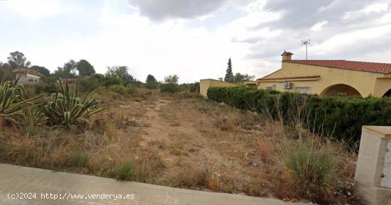 ESTUPENDA PARCELA URBANA EN URBANIZACIÓN CONSOLIDADA. - VALENCIA