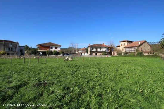  FINCA URBANA EN RIAÑO DE IBIO - CANTABRIA 