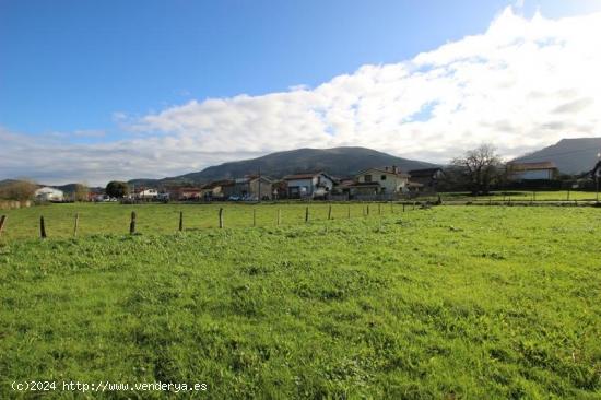 FINCA URBANA EN RIAÑO DE IBIO - CANTABRIA