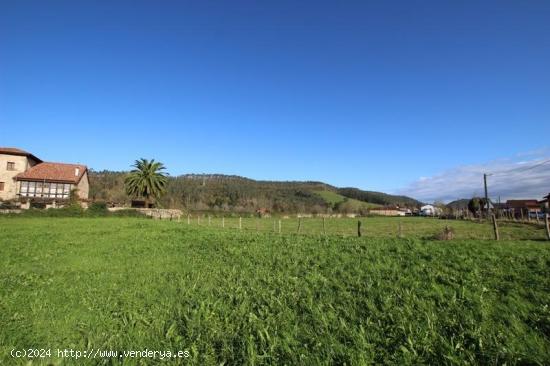 FINCA URBANA EN RIAÑO DE IBIO - CANTABRIA