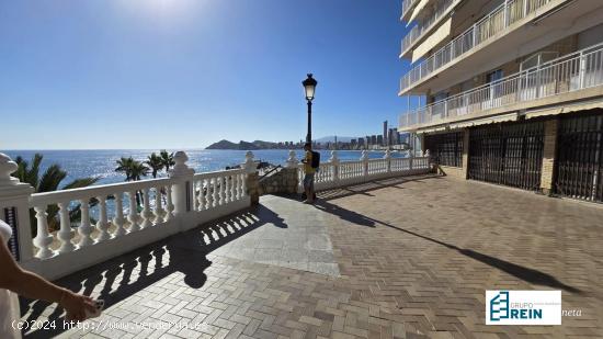  EL MEJOR LOCAL EN EL MIRADOR DE BENIDORM!! - ALICANTE 