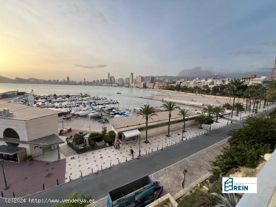 EL MEJOR LOCAL EN EL MIRADOR DE BENIDORM!! - ALICANTE