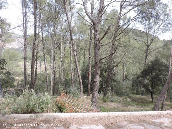 Terreno urbano en Puigpunyent - BALEARES