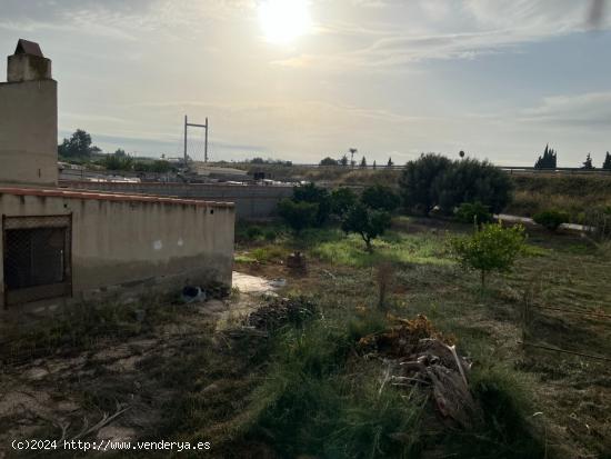 HUERTA EN EL RIO MUERTO  CON CASITA - MURCIA