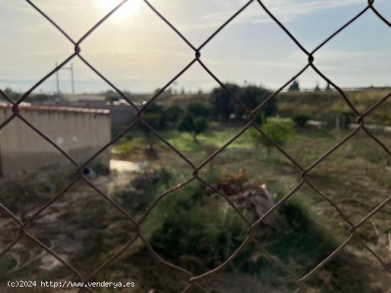 HUERTA EN EL RIO MUERTO  CON CASITA - MURCIA