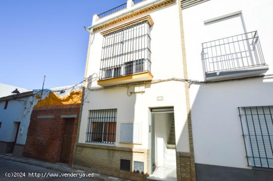 Se Vende en Tocina - SEVILLA