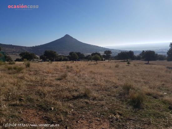 PARCELA CON CHALETS EN PLENA NATURALEZA - CORDOBA