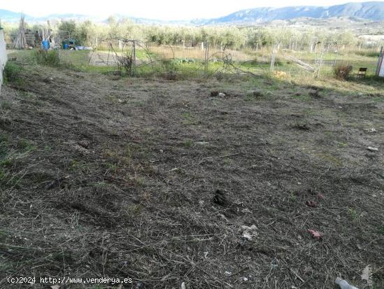 TERRENO TIPO SOLAR EN MURO DE ALCOY - ALICANTE