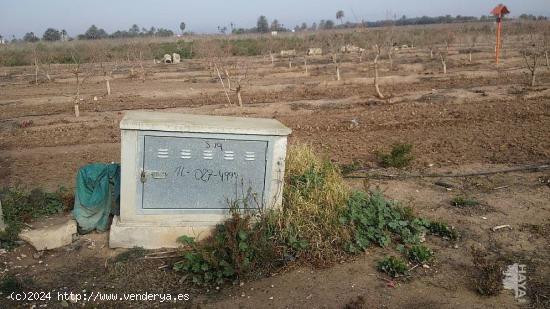 TERRENO AGRÍCOLA EN ELCHE - ALICANTE