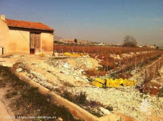 TERRENO AGRÍCOLA CON EDIFICACIÒN EN NOVELDA - ALICANTE