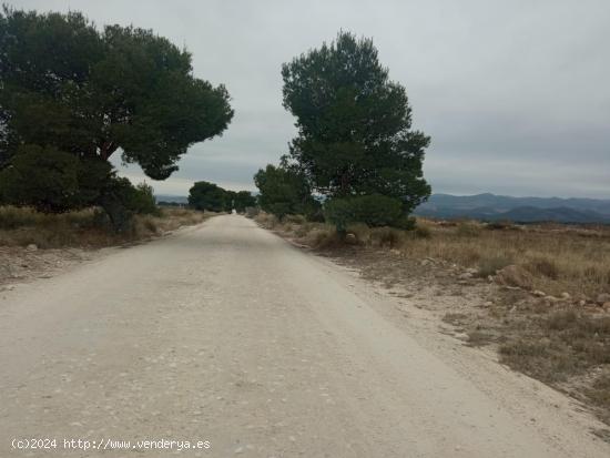 Terreno rustico, LA PARROQUIA, Aguica - MURCIA