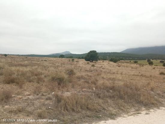 Terreno rustico, LA PARROQUIA, Aguica - MURCIA