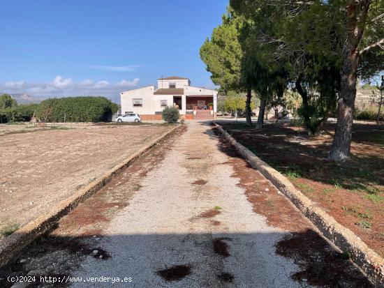 Se vende campo zona Sax Ptda Chorrillo - ALICANTE