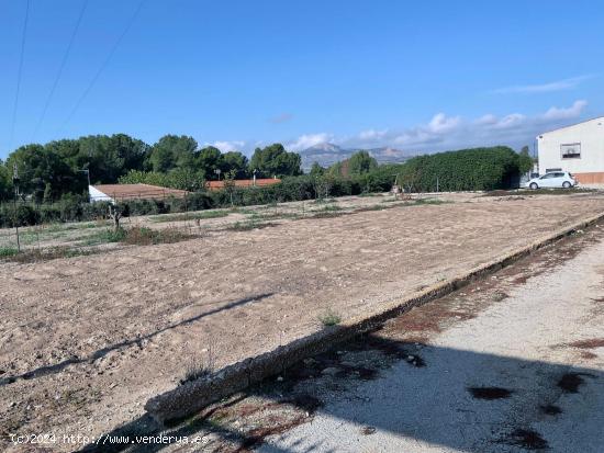 Se vende campo zona Sax Ptda Chorrillo - ALICANTE