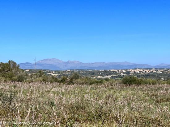 Gran finca en Petra - BALEARES