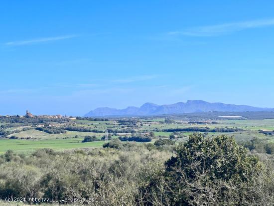 Gran finca en Petra - BALEARES