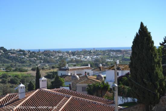  LOCAL GRAN OPORTUNIDAD DE INVERSION MIJAS GOLF - MALAGA 