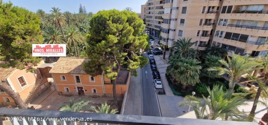 ¡¡SE ALQUILAN HABITACIONES PREFERENTEMENTE A ESTUDIANTES (CENTRO-ELCHE)!! SIN COMISION DE AGENCIA.