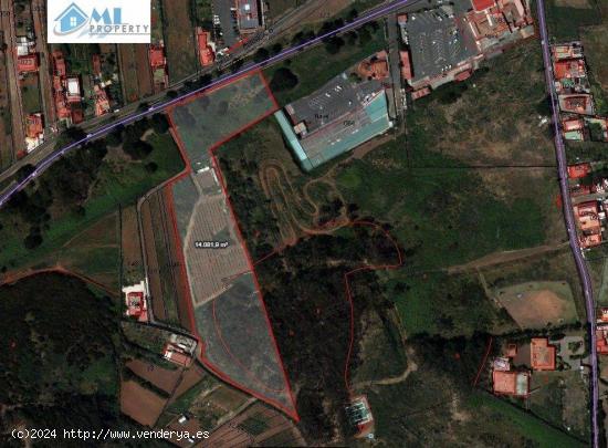 Terreno de clase rustico con 14000m² para uso agrario de gran calidad!!!!! - SANTA CRUZ DE TENERIFE