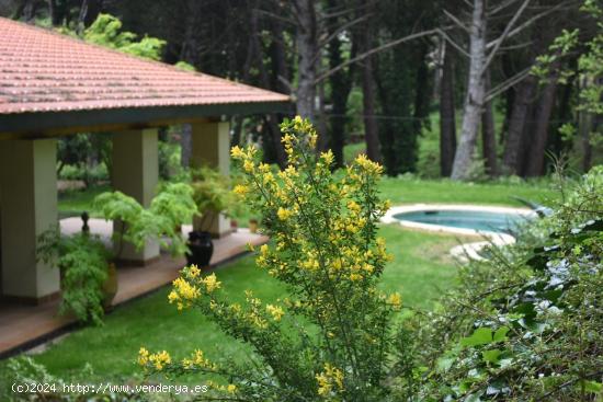 Chalet en San Ramón con piscina y AMARRE - MADRID