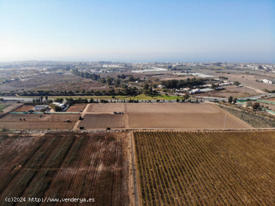 FINCA RÚSTICA EN LA ZONA DE COSTA BALLENA - CADIZ