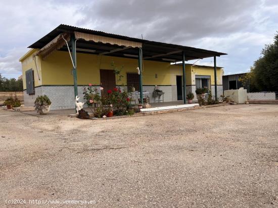  SE VENDE PARCELA CON FINCA RÚSTICA EN ELCHE ZONA BONAVISTA - ALICANTE 