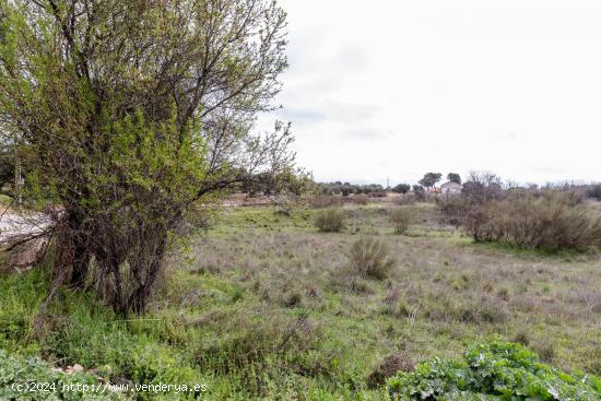 TERRENO PARA VENDER AGRARIO 34000 METROS CUADRADOS - TOLEDO