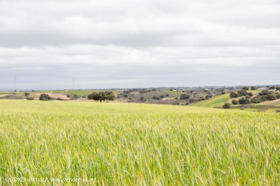 TERRENO PARA VENDER AGRARIO 34000 METROS CUADRADOS - TOLEDO